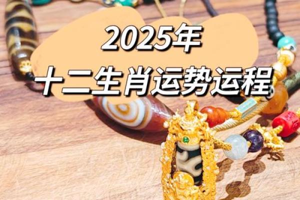 2025属马人的全年运势(2025属马人的全年运势,属马人2025年的全年运势)