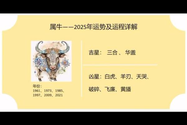 属牛2025年运势(2025年属牛的财运)