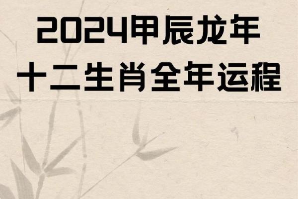属龙的人2025年运势及运程(属龙2025年本命年运势如何)