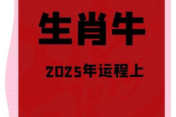 属牛人2025年运势(属牛人2025年运势每月运势)