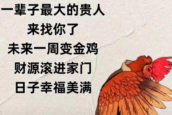属鸡2025的特大贵人(属鸡2025的特大贵人属什么)