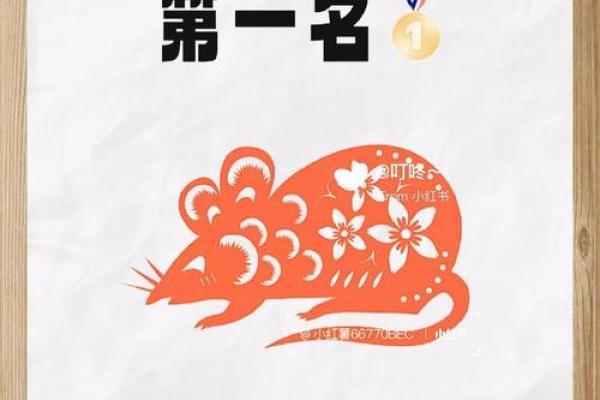 属鼠的今年运势和财运怎么样(属鼠的今年运势好不好)