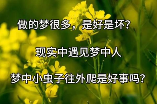梦见从身上拽出好多虫子
