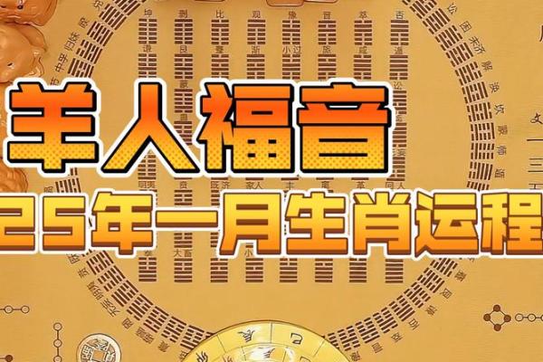55年属羊今年运势(55年属羊今年运势怎么样)
