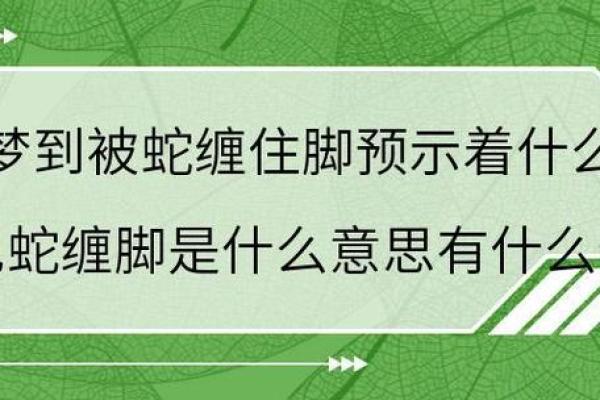 梦到床底下有蛇