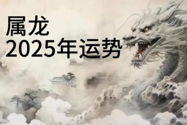 1988年龙2025年的全年运势(1988年龙2025年的全年运势怎么样)