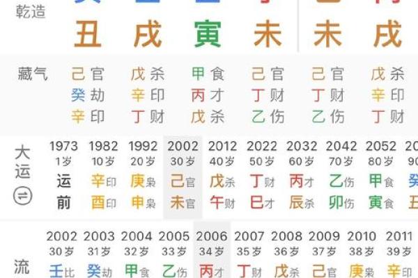 地网在八字中代表什么意思(地网在八字中代表什么意思呢女命)