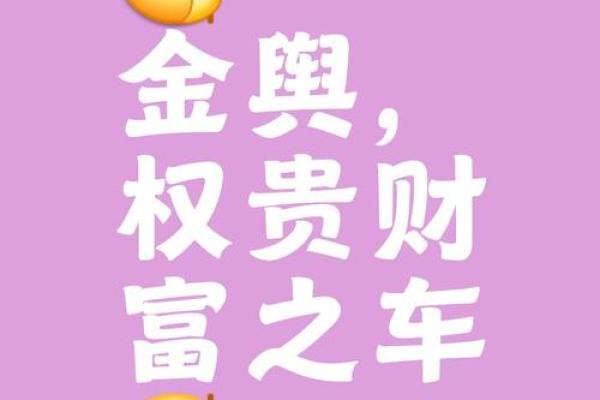 金舆在八字中代表什么意思(童子煞在八字中代表什么)