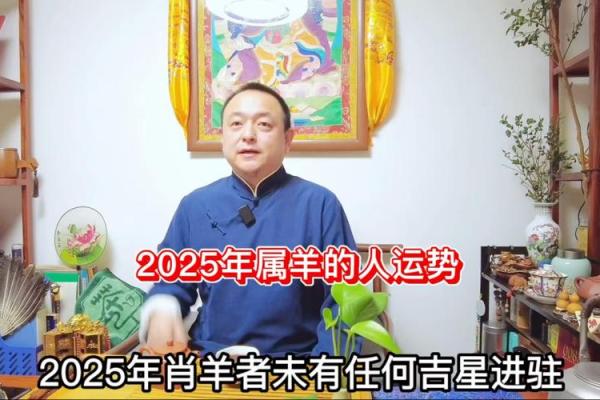 属羊人2025年全年运势(属羊人2025年全年运势如何)