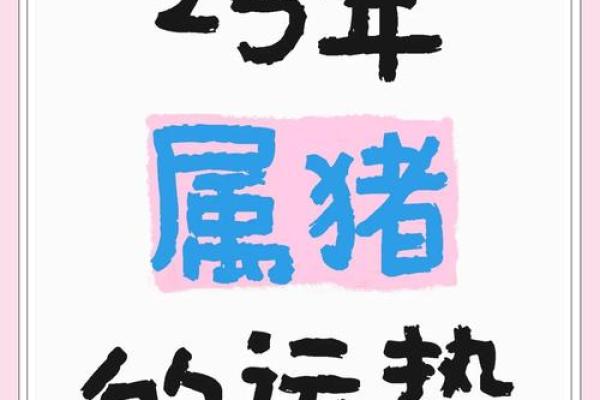 71属猪2025年有两喜(属猪的2025年运势怎么样)