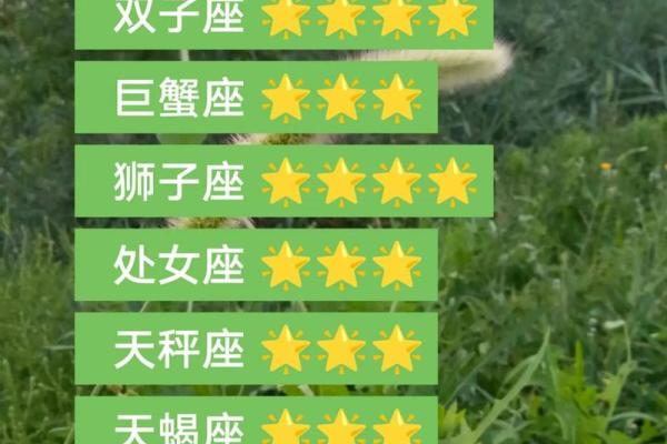 巨蟹座今日运势最新(白羊座今日运势最新)