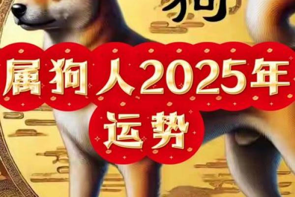1982年属狗人2025年运势及运程(1982年属狗人2025年运势及运程详解)