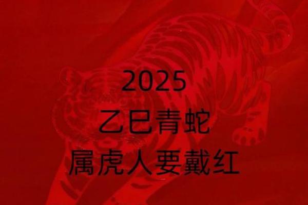 2025年属虎人的全年运势详解(2025年属虎人的全年运势详解1974)