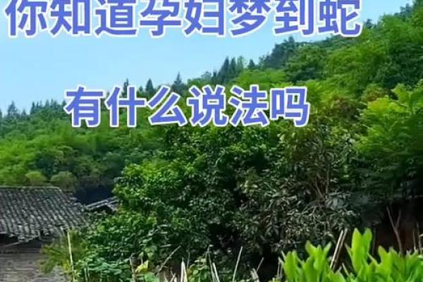 梦到蛇打什么奖
