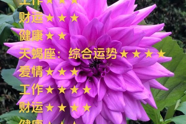 天秤座星座运势(天秤座星座运势最新)