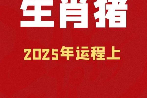 属猪2025年多大(属猪2025年多大岁数)