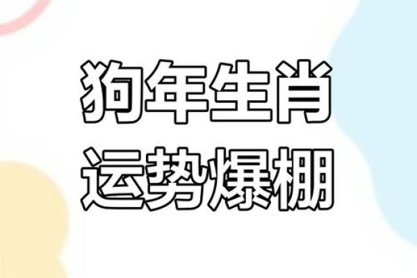 2025属狗人的全年运势(2025属狗人的全年运势1994出生)