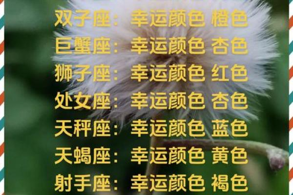 今天摩羯座今日运势(今天摩羯座今日运势女生)