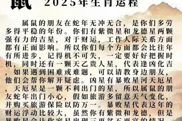 属鼠人2025年全年运势(2025年属鼠人命运)