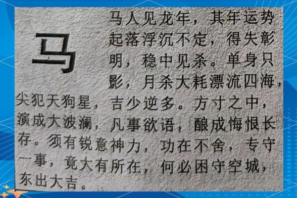 2002年属马人在2025年运势(2002年属马人在2025年运势和婚姻)