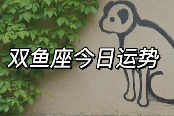 双鱼座运势今日(双鱼座运势今日幸运色)