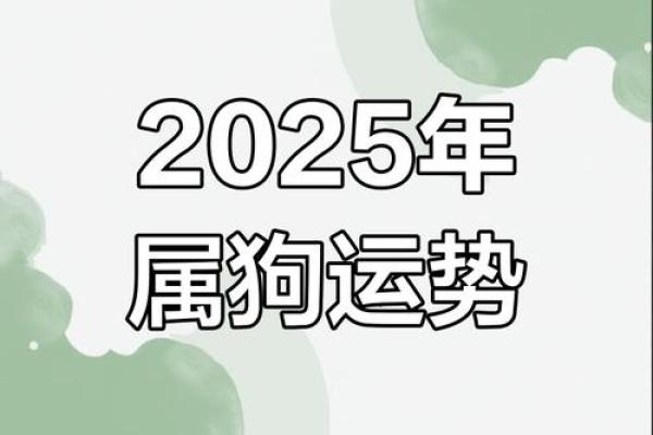 82年的狗在2025年的运势怎么样(82年的狗在2025年的运势怎么样需要避讳什么)