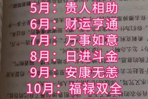 属狗人2025年每月运势及运程详解(属狗人2025年每月运势及运程)