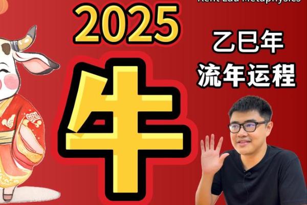 61年属牛2025年运势及运程(1961年属牛未来十年运势)