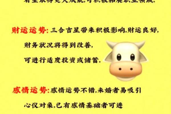 1997年属牛2025年运势及运程(1997年属牛2025年运势及运程男)