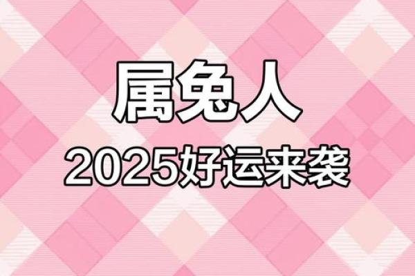 2025年属兔人的运势1975年(2025年属兔人的运势1975年4月运势会转好吗)