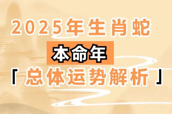 属蛇2025运势及运程详解(属蛇2025运势及运程详解卜易居)
