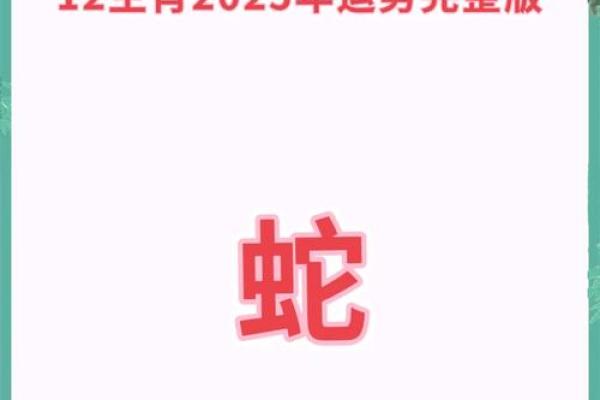 属蛇2025年每月运势及运程详解(属蛇人2025年每月运势运程每月)