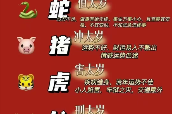 2025属马要小心一个人(属马人一生最旺3个人)