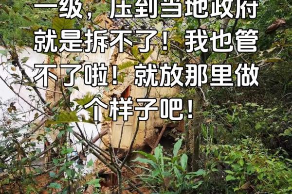 梦到老房子倒塌是什么意思