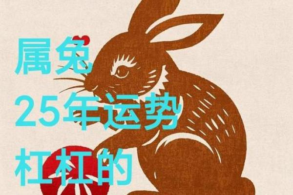2025属兔人的全年运势(2025属兔人的全年运势1987出生)