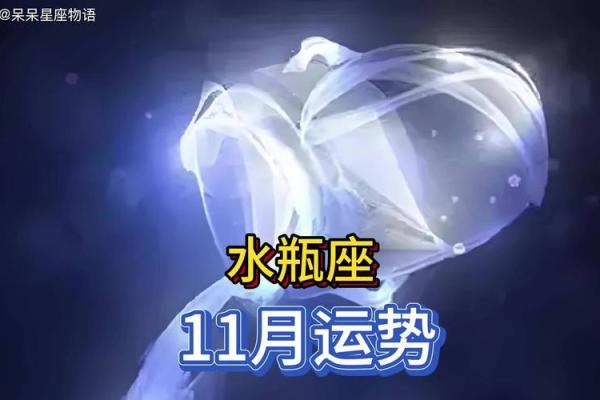 水瓶座今日最新运势(水瓶座今日最新运势)