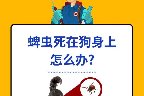梦见从身体里拔出虫子