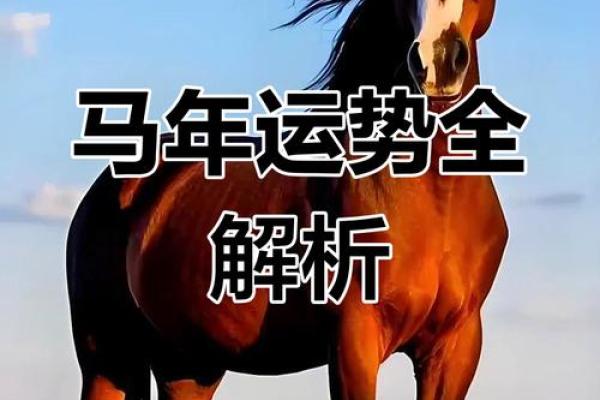 90年属马的2025年运势(90年属马2025年运势及运程)