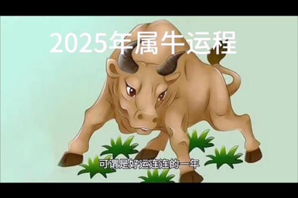 1973属牛在2025运气怎么样(1973属牛在2025运气怎么样男农历8月29日)