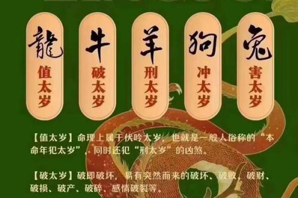 1973年属牛2025年的运势及运程(1973年属牛2025年的运势及运程女)