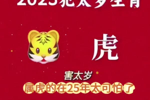 74年属虎女2025年每月运势完整版(1974年属虎2025年运势及运程)