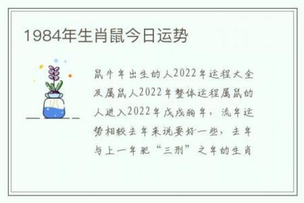 1984年属鼠人2025年运势及运程(1984年属鼠人2025年运势运程每月运程卜易居)
