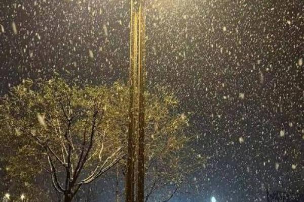 梦见突然下雪