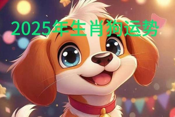 94年属狗人2025年全年运势最新版(94年狗2025年的运势)