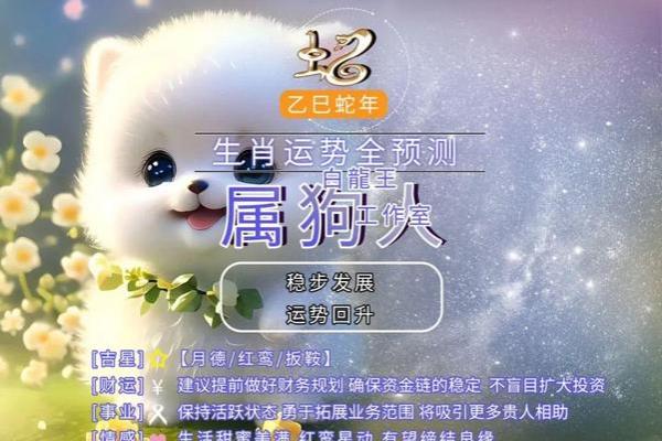 属狗的今年多大啦2025年(属狗人一生最克3个人)