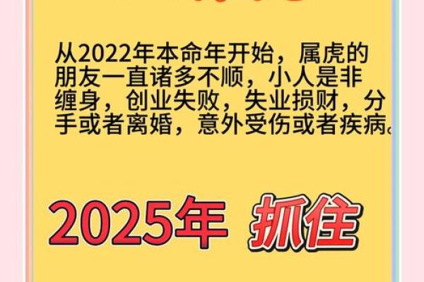 属虎2025年全年运势及运程(属虎2025年全年运势及运程详解视频)