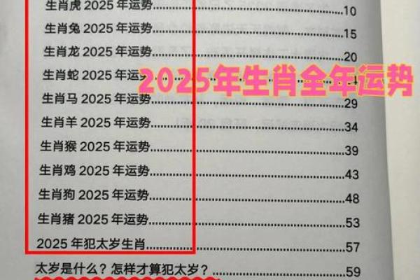 1996年属鼠女2025年的运势和婚姻(1994年属狗女2025年的运势和婚姻)