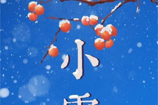 梦见先下雨后下雪预兆什么