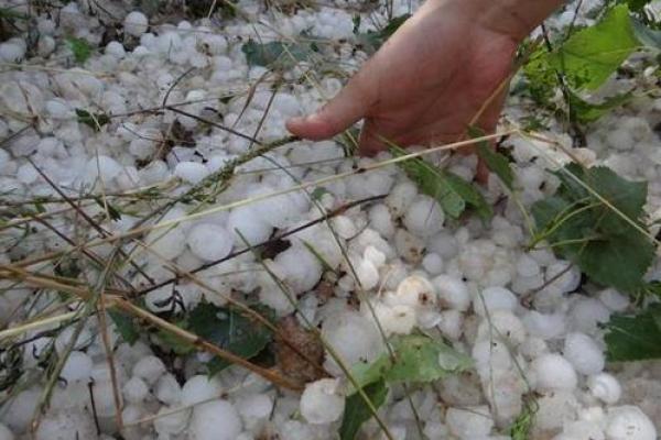 梦见先下雨后下雪预兆什么