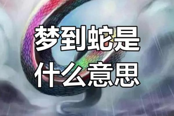梦见大红蛇